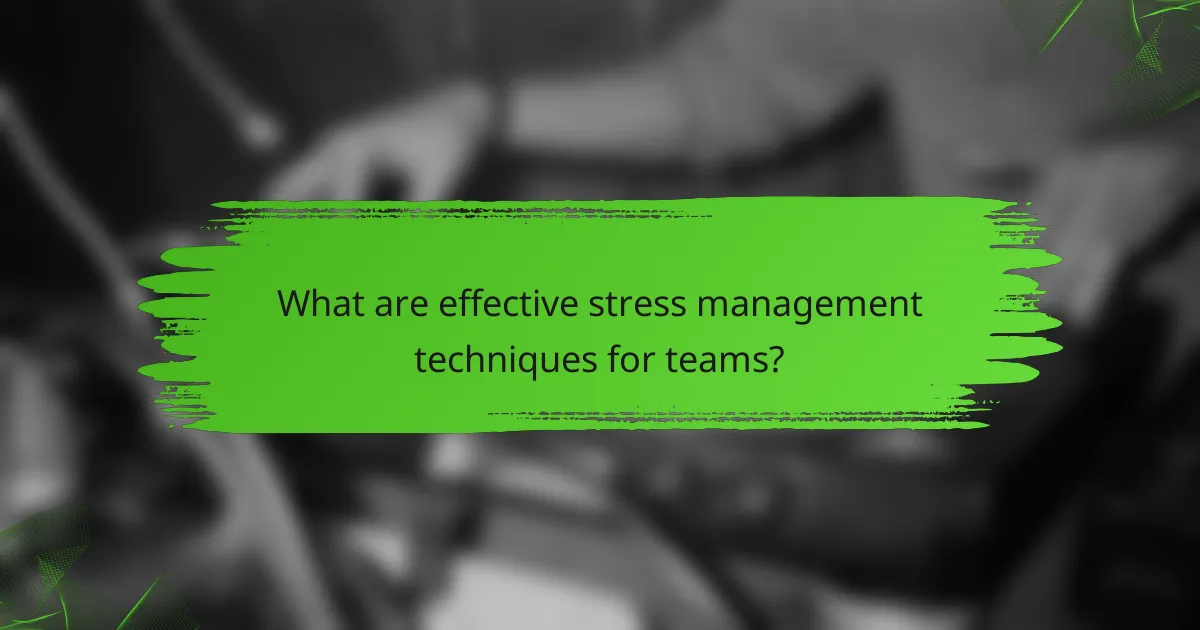 What are effective stress management techniques for teams?